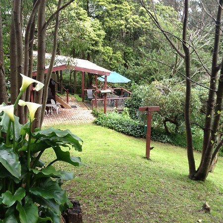 בלגרייב Stone'S Throw Cottage Bed And Breakfast מראה חיצוני תמונה