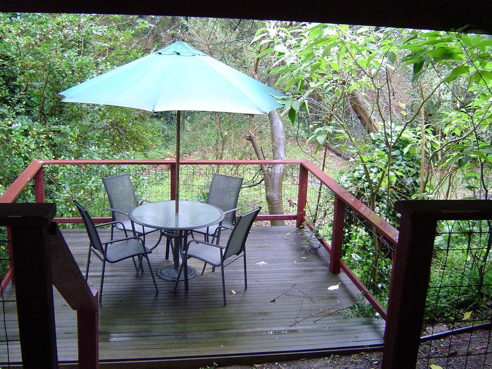 בלגרייב Stone'S Throw Cottage Bed And Breakfast מראה חיצוני תמונה