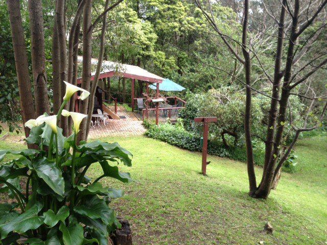 בלגרייב Stone'S Throw Cottage Bed And Breakfast מראה חיצוני תמונה