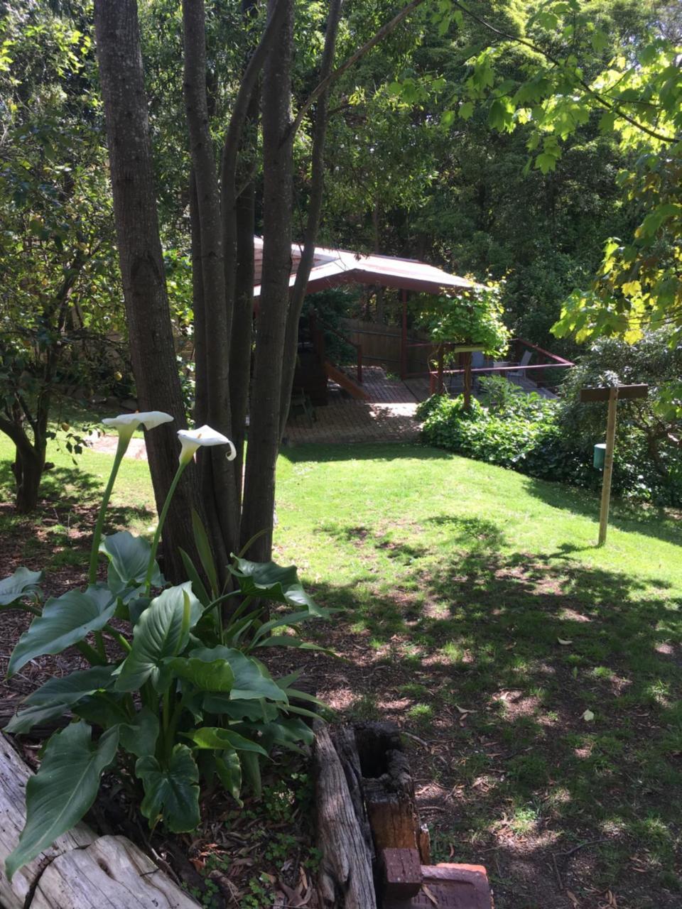 בלגרייב Stone'S Throw Cottage Bed And Breakfast מראה חיצוני תמונה